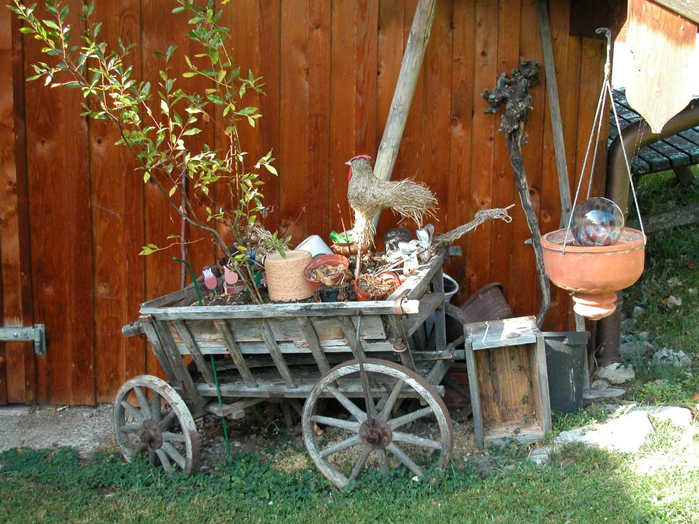 Leiterwagen im Garten