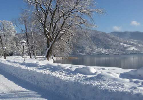 Winterlandschaft Am See